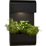 PR Home ZUNANJA STENSKA SVETILKA Planta 70/5/40 cm | Shoptok.si