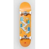 Stairs 8.0"x31.85" MAXI Skate komplet uni