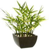 Atmosphera UMJETNO CVIJEĆE U TEGLI BAMBUS 35CM PE CRNA cijene