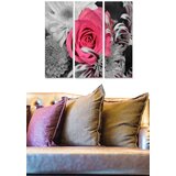 Wallity Set slika MDF20366, 3 dijela | Eponuda.ba