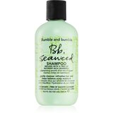 Bumble and Bumble Seaweed Shampoo šampon za kovrčavu kosu s ekstraktima morskih trava 250 ml | shoptok.hr