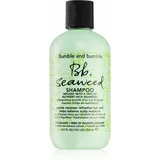 Bumble and Bumble Seaweed Shampoo šampon za valovite lase z izvlečki morskih alg 250 ml