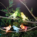 Garden of Eden Solarne svetilke v obliki ptic s ščipalkami 80cm RGB LED osvetlitev Cene