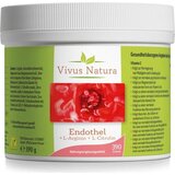  Endotelij | Shoptok.si