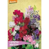 ReinSaat Dišeči grahor ''Lathyrus odoratus'' Cene