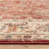 Asiatic Carpets Crveni tepih 240x340 cm Raja – | shoptok.hr