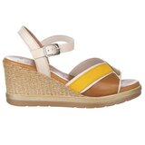 Zapp 4511 Višebojna | shoptok.hr