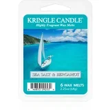 Sea Salt & Bergamot vosak za aroma lampu 64 g