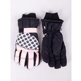 Yoclub Woman's Women's Winter Ski Gloves REN-0254K-A150 Cene'.'
