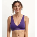 DIM OH MY 'S BRA - Boneless Women's Bra - Purple