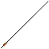 vidaXL Standardne strijele za sklopive lukove od fiberglasa 30'', 0,8 cm | shoptok.hr