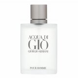 Armani (Giorgio Armani) Acqua di Gio Pour Homme toaletna voda za muškarce 30 ml | shoptok.hr