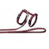 Nobby set povodac i am za mačke LOVE - Braon | ePonuda.com