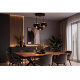  Brilagi - Visilica na sajli 3xE27/60W/230V crna/zlatna | Eponuda.com
