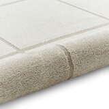 Think Rugs Svetlo siva preproga 160x230 cm Elio Silver – | Shoptok.si