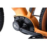 Capriolo Volta 9.4 E-bike 29'' bronzani (926800-16.5) | Eponuda.com