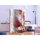 Artgeist PARAVAN 135/172/3 cm bela, pink Slike