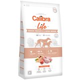 CALIBRA Dog Life Senior Medium & Large Piletina, hrana za pse 12kg Cene