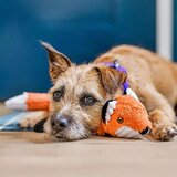 Play Pasja igrača Fox – | Shoptok.si