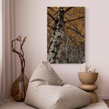 Slika - Autumn Colours (1 Part) Vertical 60x90 | shoptok.hr