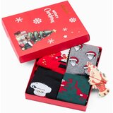 Edoti Men's socks X-mas box | Shoptok.si