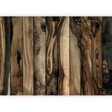  Foto tapeta - Olive Wood 400x280 Premium | shoptok.hr