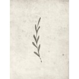 Venture Home poster Autumn Leaf 30 × 40 cm, bež | shoptok.hr