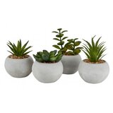  Veštačka biljka bror fi 7xV9cm više vrsta ( 4911446 ) Cene