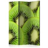  Paravan u 3 dijela - Kiwi slices [Room Dividers] 135x172 Cijene