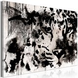  Slika - Cat's Look (1 Part) Wide 120x80 Cijene