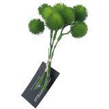  Cvet CEPHALANTHUS 20cm 763629 - Green - DCS Cene