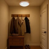 Brilagi plafonsko svetlo orbis 2xE27/60W/230V ø 38 cm borovina | Eponuda.com