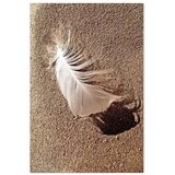  Slika - Feather on the Sand (1 Part) Vertical 40x60 | shoptok.hr