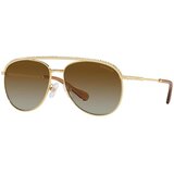 Swarovski Naočare za sunce SK 7005 4004T5 | ePonuda.com