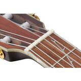 Ibanez TOD10N-TKF Tim Henson Tree of Death Signature Transparent Black | Shoptok.si