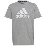 Adidas Majice s kratkimi rokavi Big Logo Tee JR Siva | Shoptok.si