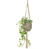 Tekstilni lanac za vješanje tegli za cvijeće ø 13 cm (visina 100 cm) Macramé –
