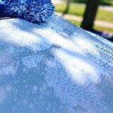 Sonax šampon i vosak - 313200 | Eponuda.com