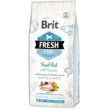 Adult Large riba z bučo - 12 kg