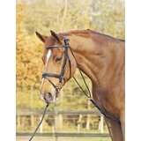 Busse Chambon BASIC Cene