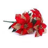 Cvijet Božićni Poinsetta Cijene