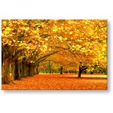  Slike na platnu drveće (moderne slike na platnu) | ePonuda.com