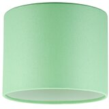 Eglo LED Luster na sajli TUNJA 2xE27/60W/230V mat hrom/zelena Slike