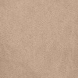 vidaXL Jedilni stoli z blazinami 2 kosa bele masivne lesene gume | Shoptok.si