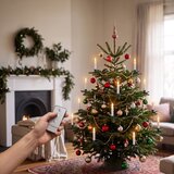 Brilagi LED Osvetljenje za božićnu jelku 10xLED/10xAAA belo + daljinsko upravljanje | Eponuda.com