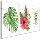  Slika - Red Hibiscus (3 Parts) 120x60 | shoptok.hr