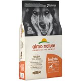 Holistic Almo Nature Adult losos riž Large - Varčno pakiranje 2 x 12 kg Cene