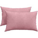 vidaXL Blazine za kavč 2 pcs Roza 60 x 40 cm Žametna tkanina | Shoptok.si