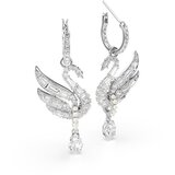 Swarovski Uhani srebrna | Shoptok.si