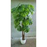 Lilium stablo monstera 155 cm GF141004 u